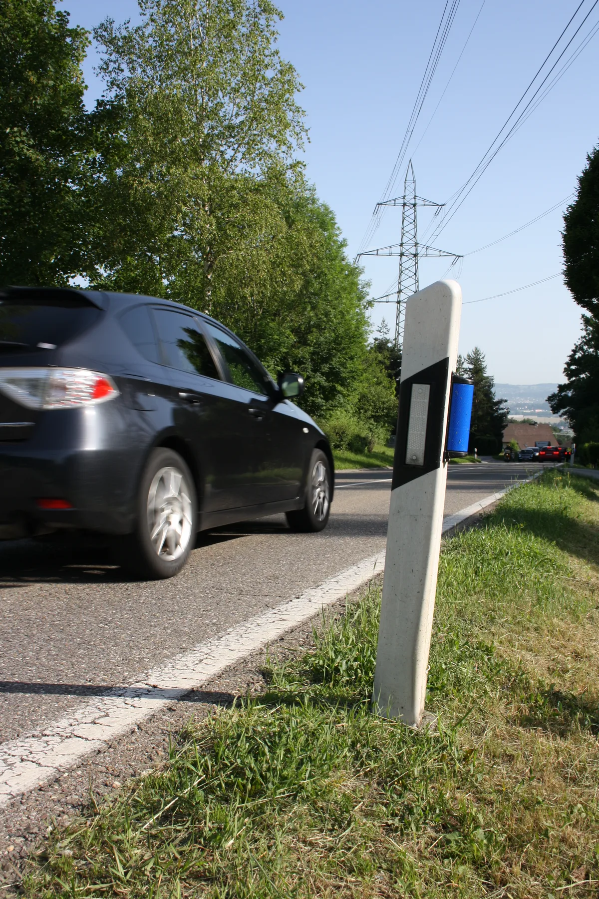 An einem Pfosten am Strassenrand ist ein blauer Wildwarner angebracht.